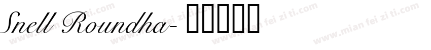 Snell Roundha字体转换